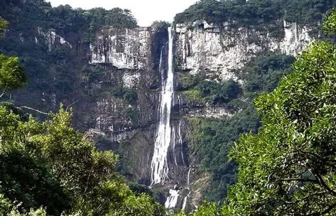 Cachoeira da Água Branca Ubatuba SP