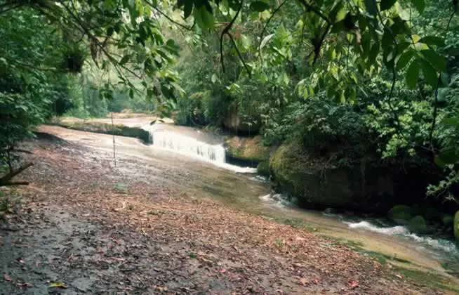 Cachoeira da Laje - trilha Cachoeiras do Ubatumirim Ubatuba SP