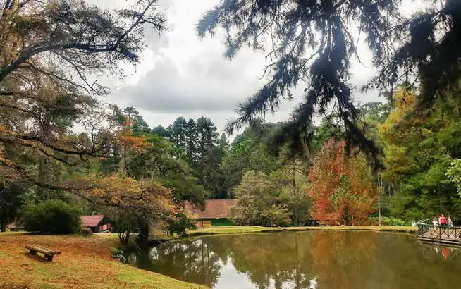 Horto Florestal de Campos do jordão