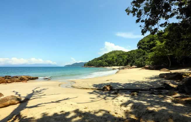 Praia do Cedro do Sul Ubatuba