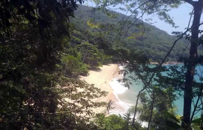Praia Deserta Ubatuba