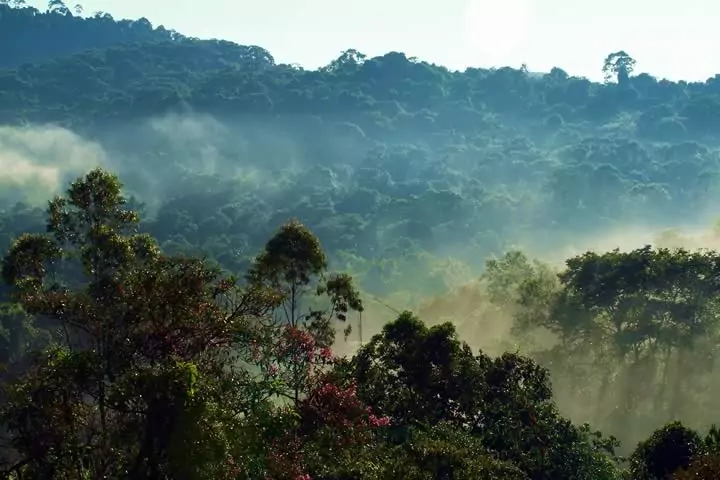 Parque Natural Municipal Augusto Ruschi São José dos Campos