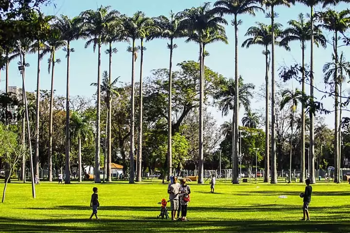Parque da Cidade - São José dos Campos