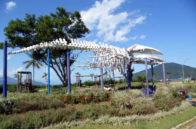 Praça da Baleia Ubatuba