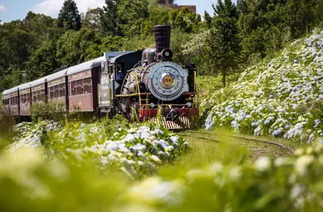 12 passeios de trem imperdíveis no Brasil que todo mundo deveria fazer