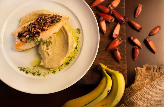 Campos do Jordão e Santo Antônio do Pinhal promovem Festival do Pinhão na Serra da Mantiqueira