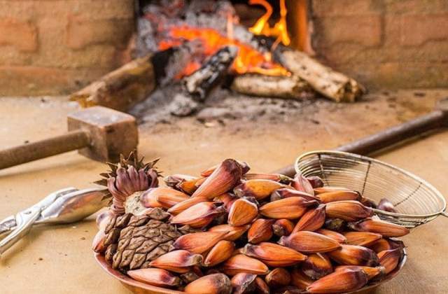 Prefeitura de Cunha divulga programação de shows do 22º Festival do Pinhão