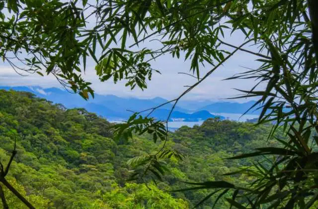 Trilha da Petrobras: uma rota alternativa para o litoral norte