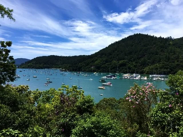 Vista do Mirante da Praia do Saco da Ribeira