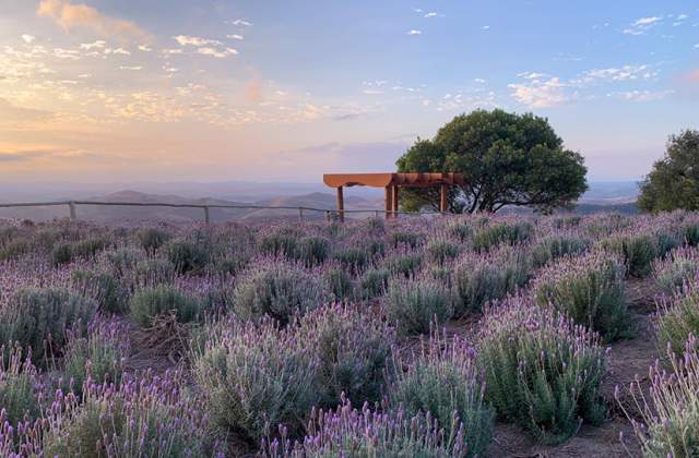 Cunha se prepara para o Verão na Montanha Cunha Fest 2023