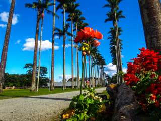 São José dos Campos