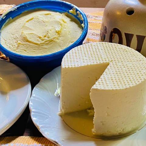 Serra da Bocaina: Natureza, Sabor e Saber