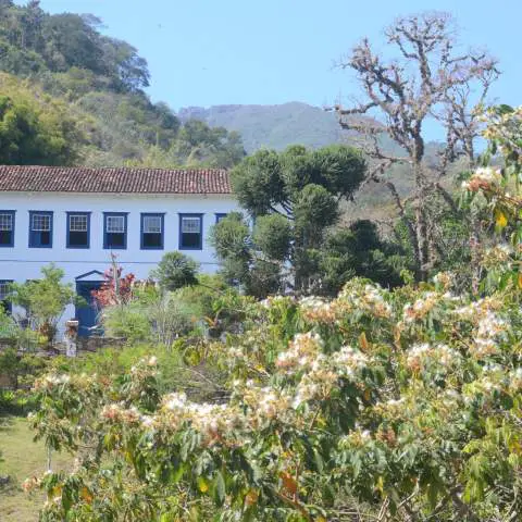 Serra da Bocaina: Natureza, Sabor e Saber