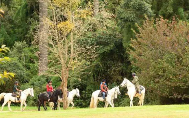 Passeio de cavalo