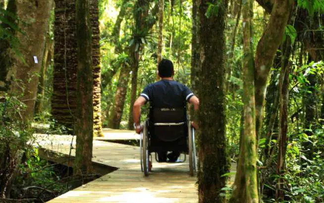 Passeio por trilha